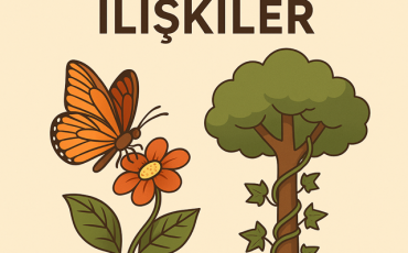 Simbiyotik İlişkiler